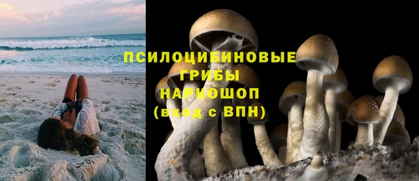 Альфа ПВП Семилуки